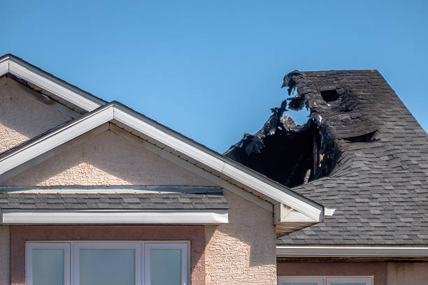 Top rated local Fire Damage Assessment specialists in Le Center, MN
